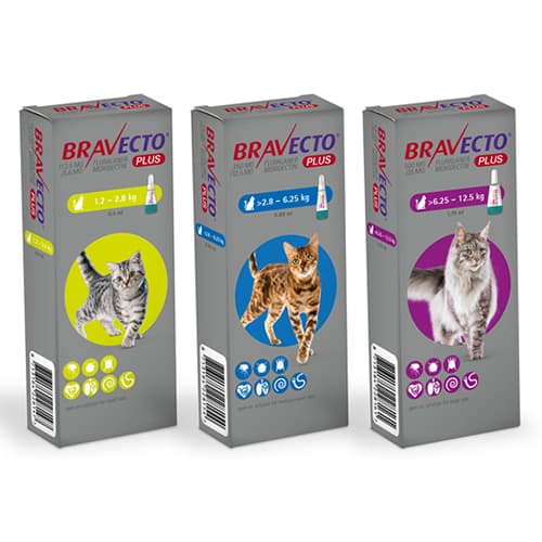 Bravecto Plus Cat Spot On 2.8-6.25Kg