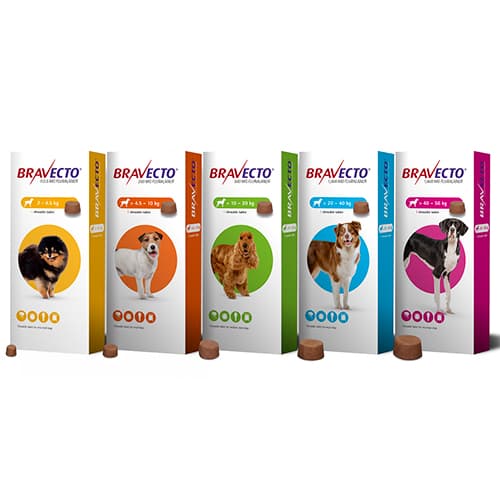 Bravecto Chew Dog 10-20Kg